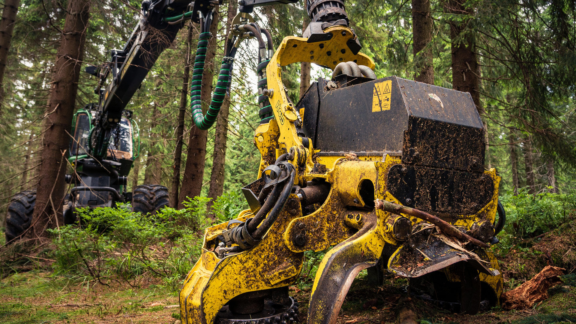 Forestry Technology Forestry Technology